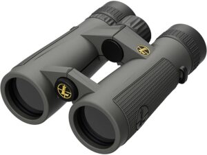 Leupold 174481 BX-5 Santiam HD Binoculars, 8x42mm