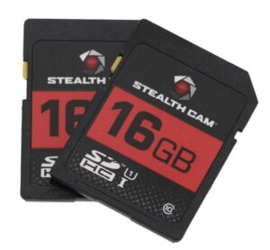 Steal STC-16GB2PK 16GB Sd Card 2PACK