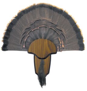 Hunters Specialties HS Strut 00849 Turkey Tail & Beard Mounting Kit