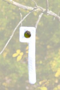 Wildlife Research Key-Wick Magnum 2-Pack.