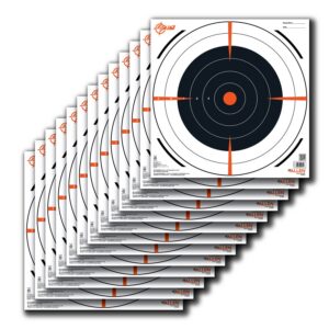 Allen Company EZ-Aim 15334 Bullseye Hanging Paper 12" X 12" Black/White 13 per Pack