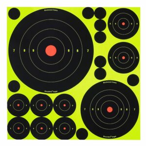 Birchwood Casey 34018 Shoot-N-C Reactive Target Variety Pack Self-Adhesive Paper Black/Yellow Bullseye 50 Pack