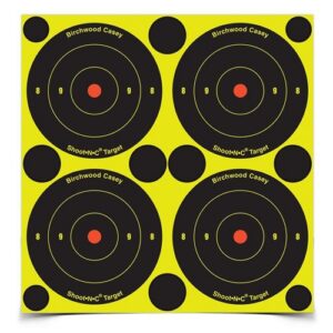 Birchwood Casey B31000 Sht-N-C 3IN Round Tgt 1000/PK 4000 Targets