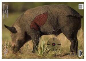Birchwood Casey 35408 Pregame Boar Paper Target 16.50" X 24" 3 per Pkg