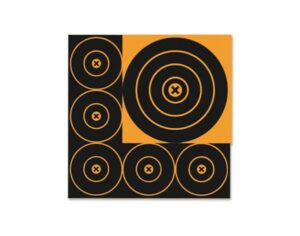 Birchwood Casey Bc 36818 BB8 Bb 4&8""TGT-18