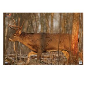 Birchwood Casey 37481 EZE-Scorer Whitetail Deer Paper Hanging 23" X 35" Multi-Color 2 per Pkg