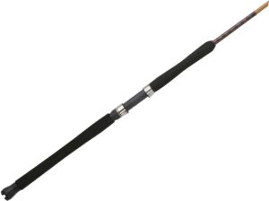 Ugly Stik Tiger Elite 6' XH Spinning Rod USTEJG80130S601