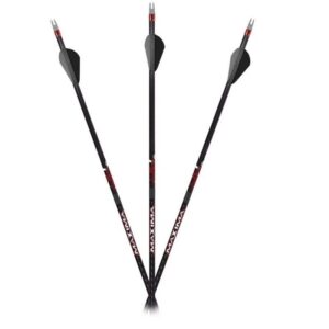 Maxima Sable Rz 500 12-Pack Shafts
