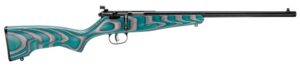 Savage Arms 13802 Rascal Minimalist Youth 22 LR 1-Round 16.12" Matte Black Threaded Barrel, Satin Black Carbon Steel Receiver, Gray & Teal Hybrid