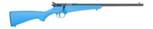 Savage Arms 13812 Rascal F-SR 22 LR 1-Round 16.13" Matte Black Single Shot Threaded Barrel, Blue Synthetic Stock, Right Hand
