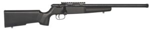 Savage Arms 13823 Rascal Target Youth 22 LR 1-Round 16.12" Matte Black Threaded Barrel, Matte Black Picatinny Rail Carbon Steel Receiver, Matte Black