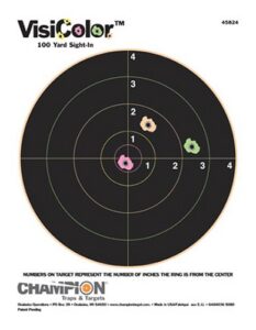 Champion Targets 45824 VisiColor Bullseye Paper Hanging Pistol/Rifle 8.50" X 11" Multi-Color Includes Pasters 10 Pack