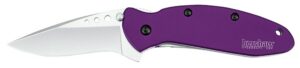 Kershaw 1620PUR Scallion 2.40" Folding Drop Point Plain Bead Blasted 420HC SS Blade Purple Anodized Aluminum Handle Includes Pocket Clip