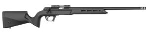 Retay USA ASD22-BLK-20 Asend Sporter 22 LR 10+1 20" Black Heavy Barrel, Black Chrome Receiver with Picatinny Rail, Black Fixed Synthetic Stock