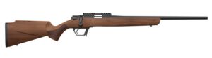 Retay USA ASD22-SWAL-20 Asend Hunter 22 LR 10+1 20" Black Heavy Barrel, Black Chrome Receiver with Picatinny Rail, Turkish Walnut Fixed Stock