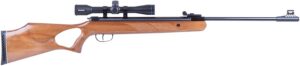 Blue Line Solutions 25000205 Diana Two-Fifty 4.5mm .177 Cal 22 Joule with Gas Spring Set