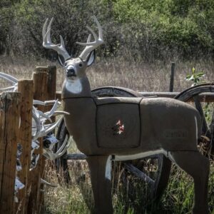 GlenDel Pre-Rut Buck with 4-Sided Insert