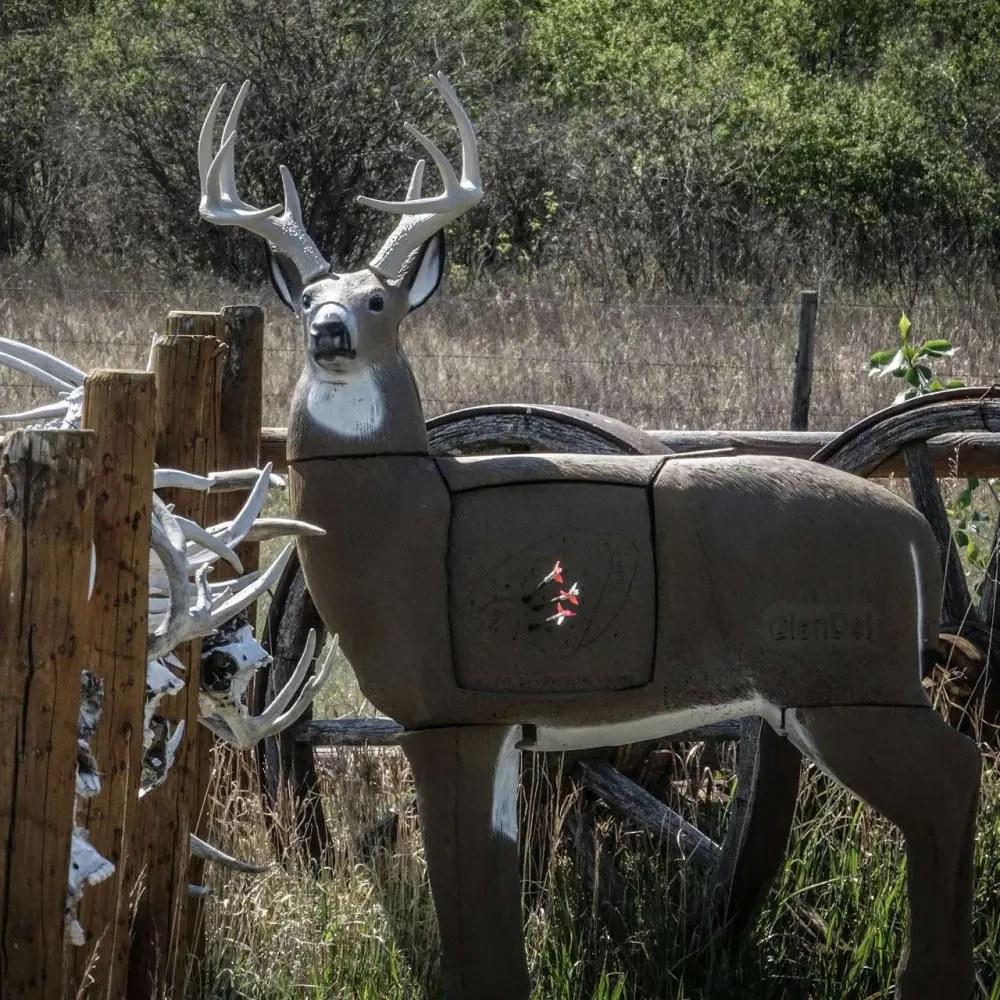 GlenDel Pre-Rut Buck with 4-Sided Insert