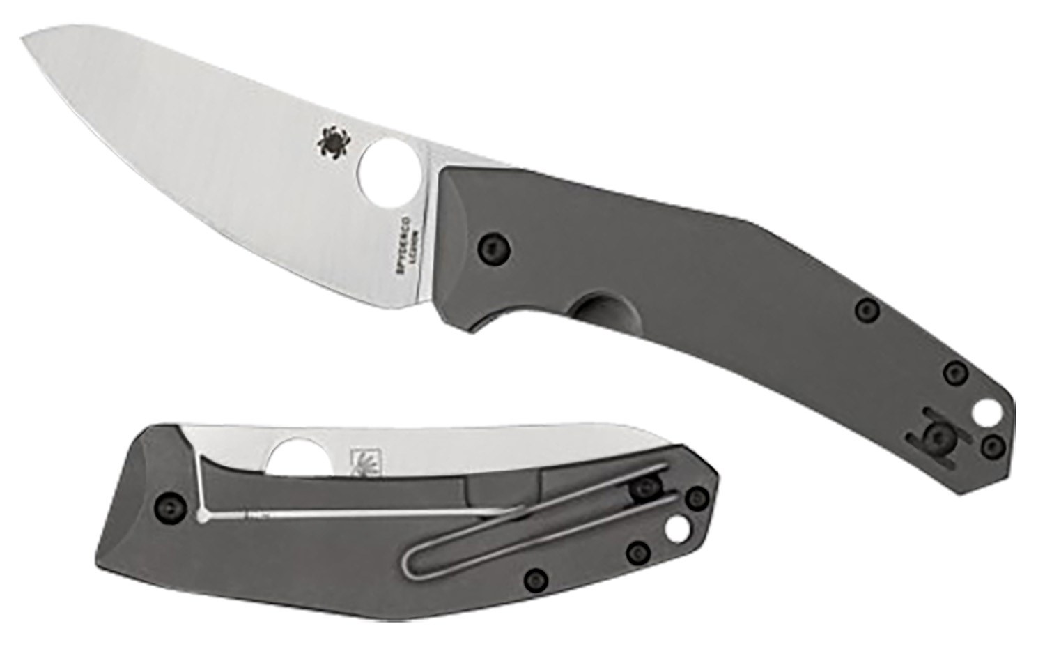 Spyderco C211TIP SpydieChef Salt 3.32" Folding Plain LC200N Blade Satin Titanium Handle Includes Pocket Clip