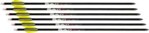 Wicked Ridge XX75 Aluminum Arrows 20 White 6-Pack