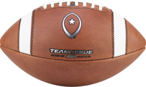 Big Game Team Issue Official Size Leather Football (Money Ball)