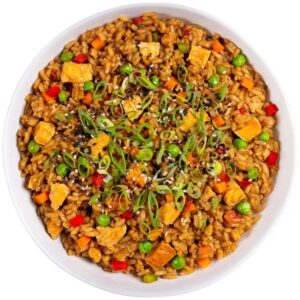 ReadyWise CP Chicken Teriyaki & Rice Single Serve