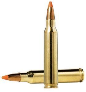 Norma Ammunition 20157352 Dedicated Hunting Varmint 223Rem 55gr Polymer Tip 20 per Box/10 Case