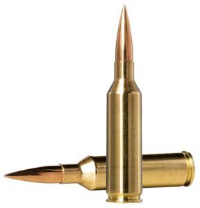 Norma Ammunition 10166462 Dedicated Precision Golden Target Match 6.5PRC 143gr Hollow Point Boat Tail 20 per Box/10 Case